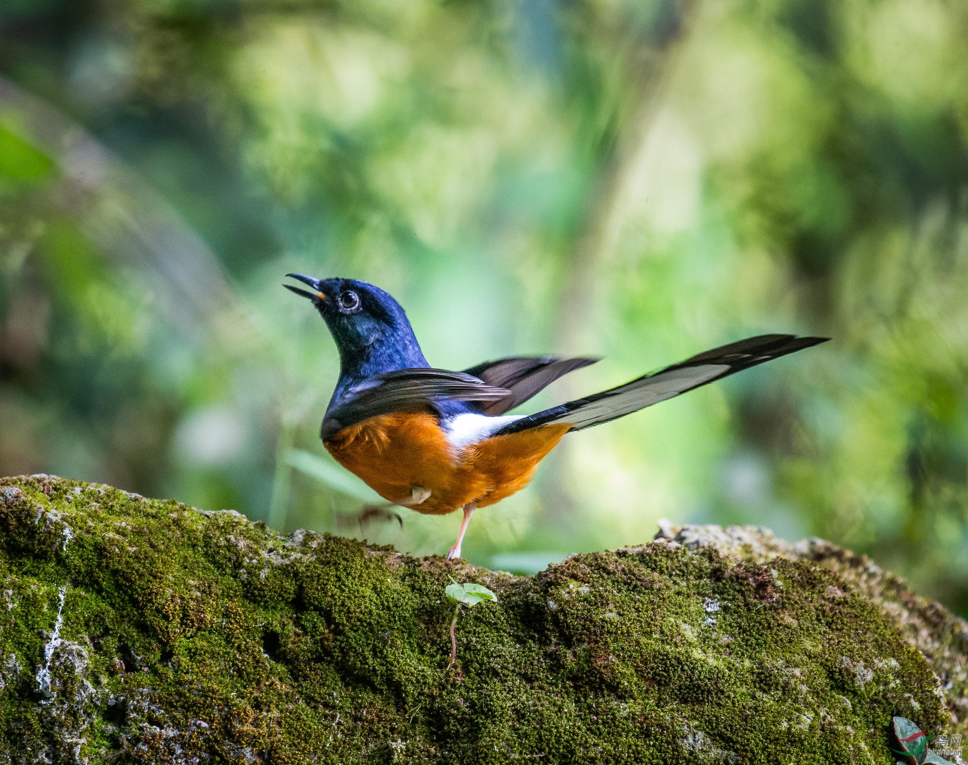 0092.�Ŷ��� ����ȵ�-���� ���.jpg