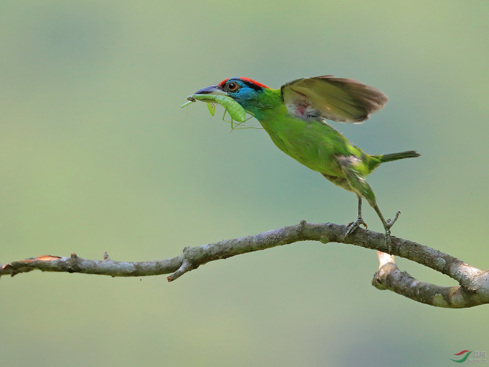 0231.��� ̷�˺�.jpg