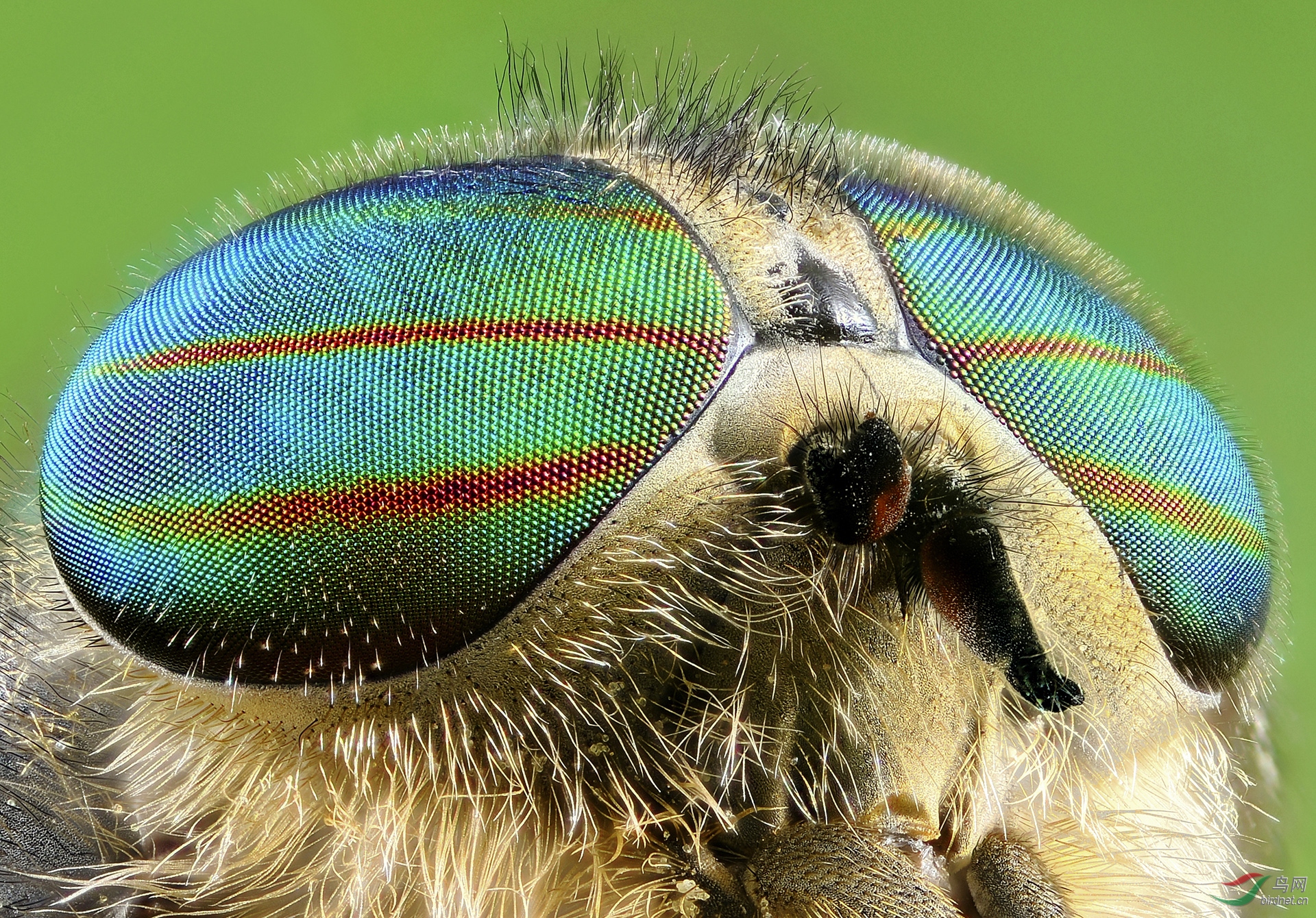 0055. 10665_���_Ұ������.jpg