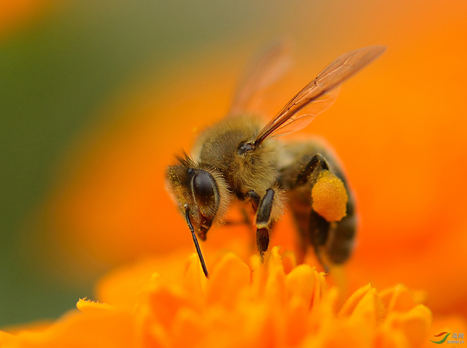 0056. 10666_�εν�����_�Գɾ�-�����Է�Ұ������.jpg