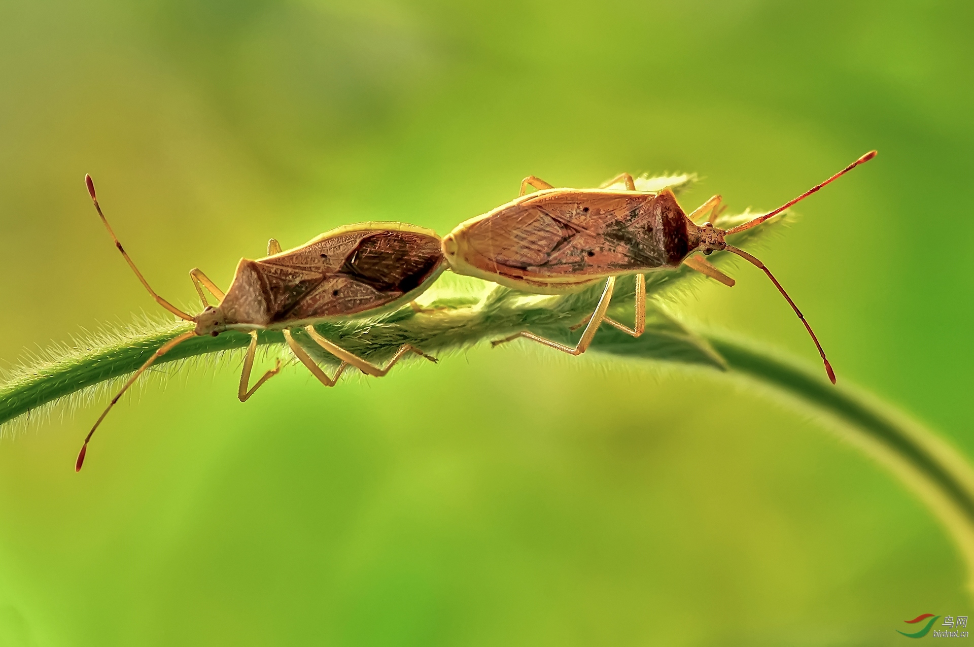 0129. 10746_��������_Ұ������.jpg