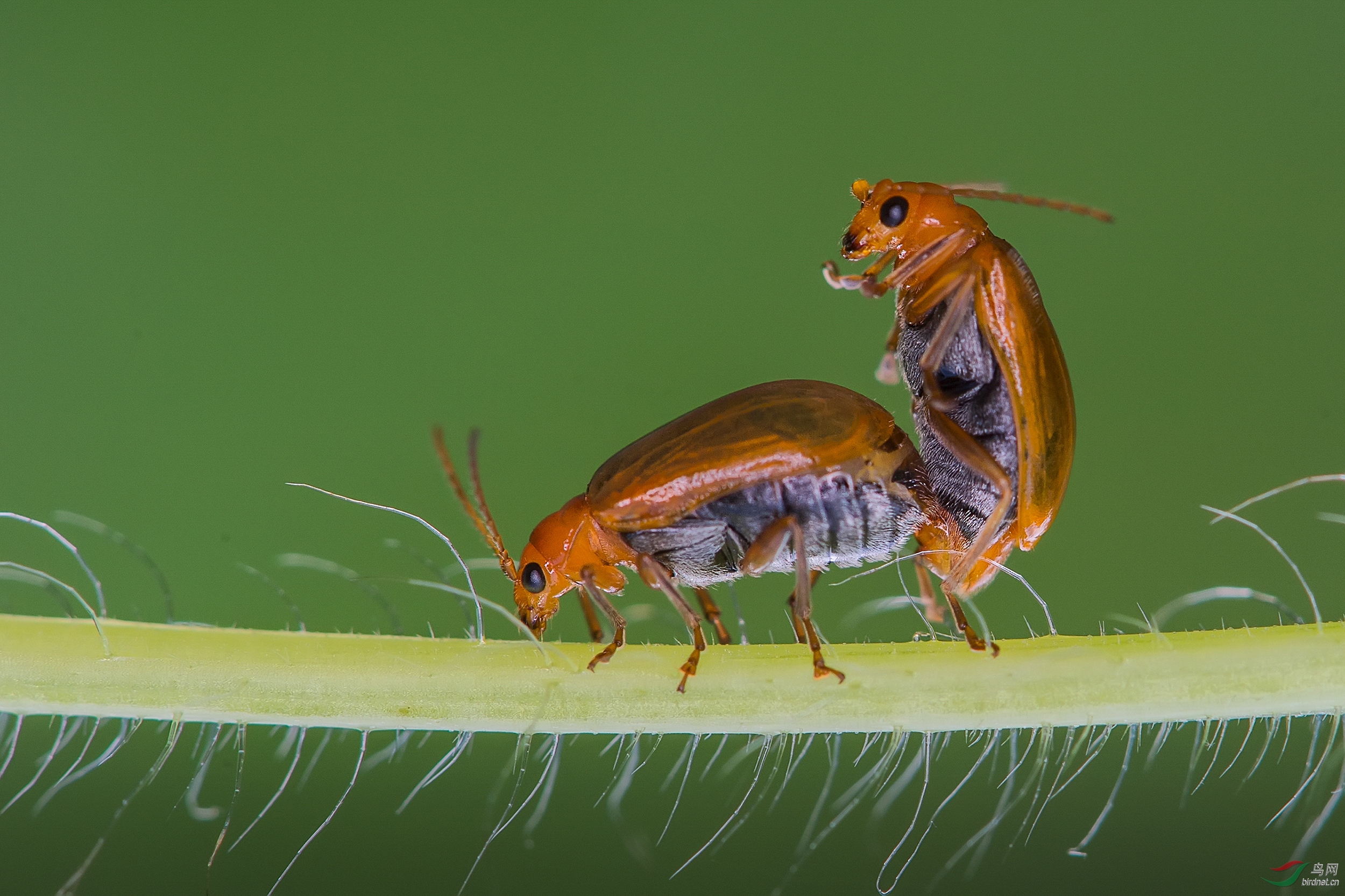 0216. 10858_�Ϻ��Ƴ�_Ұ������.jpg