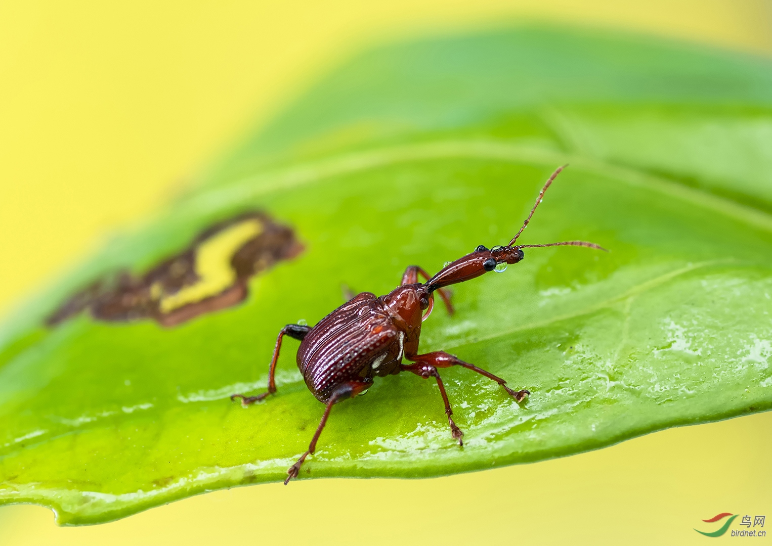 0184. 10810_��������_Ұ������.jpg