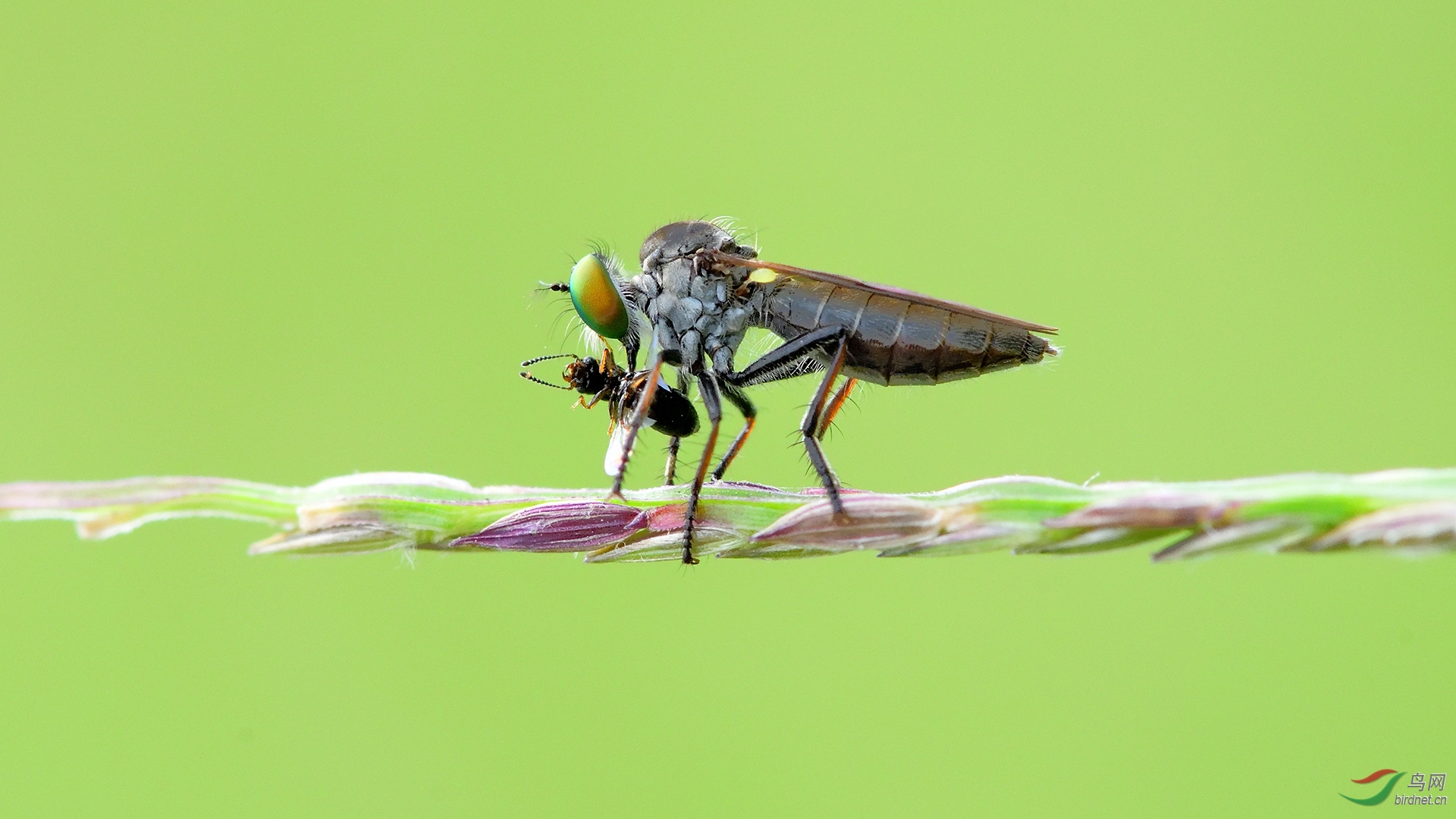 0095. 10712_��������_Ұ������.jpg