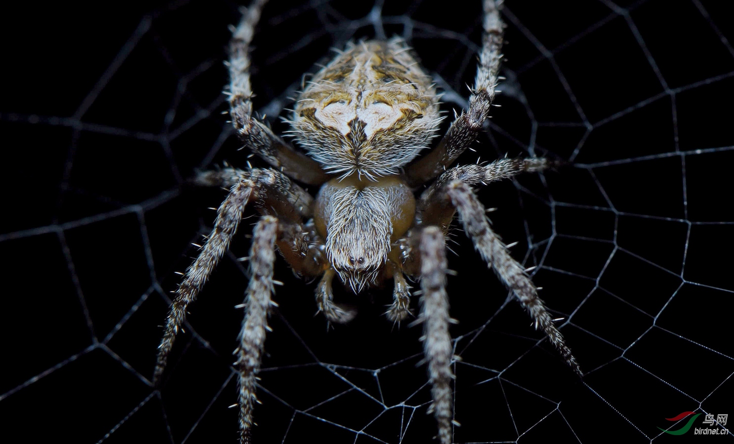 0114. 10731_�����о���_�����£�����ң��Ұ������.jpg