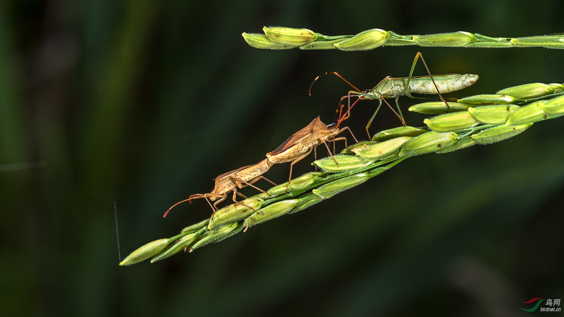 0214. 10850_������_Ұ������.jpg