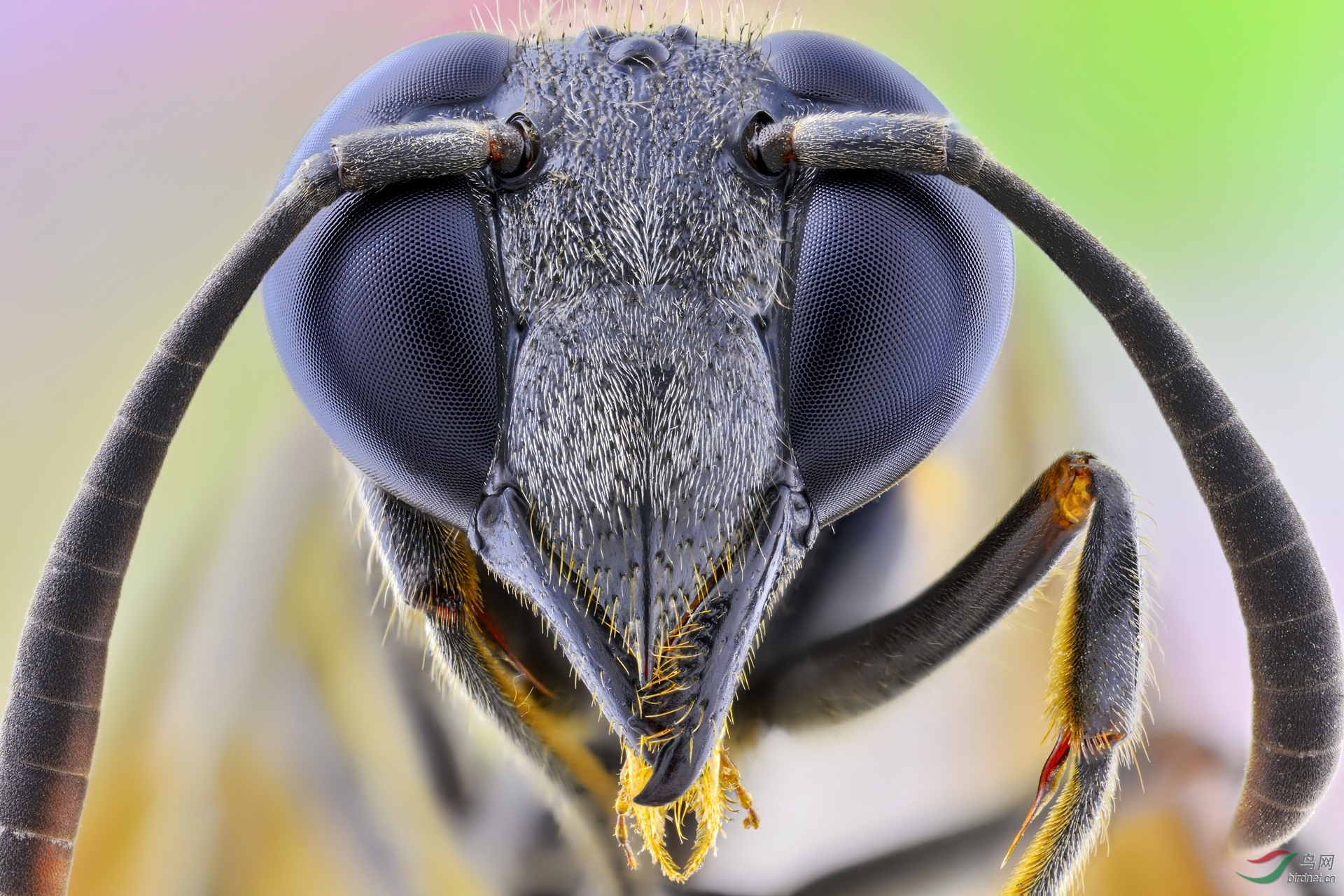 0237. 10886_���临��_�����ߣ��������Ұ������.jpg