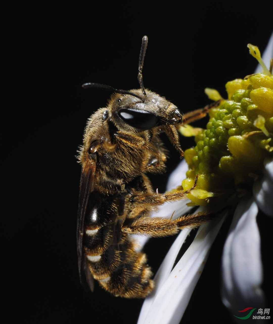 0278. 10948_Ұ�ջ����_Ұ������.jpg