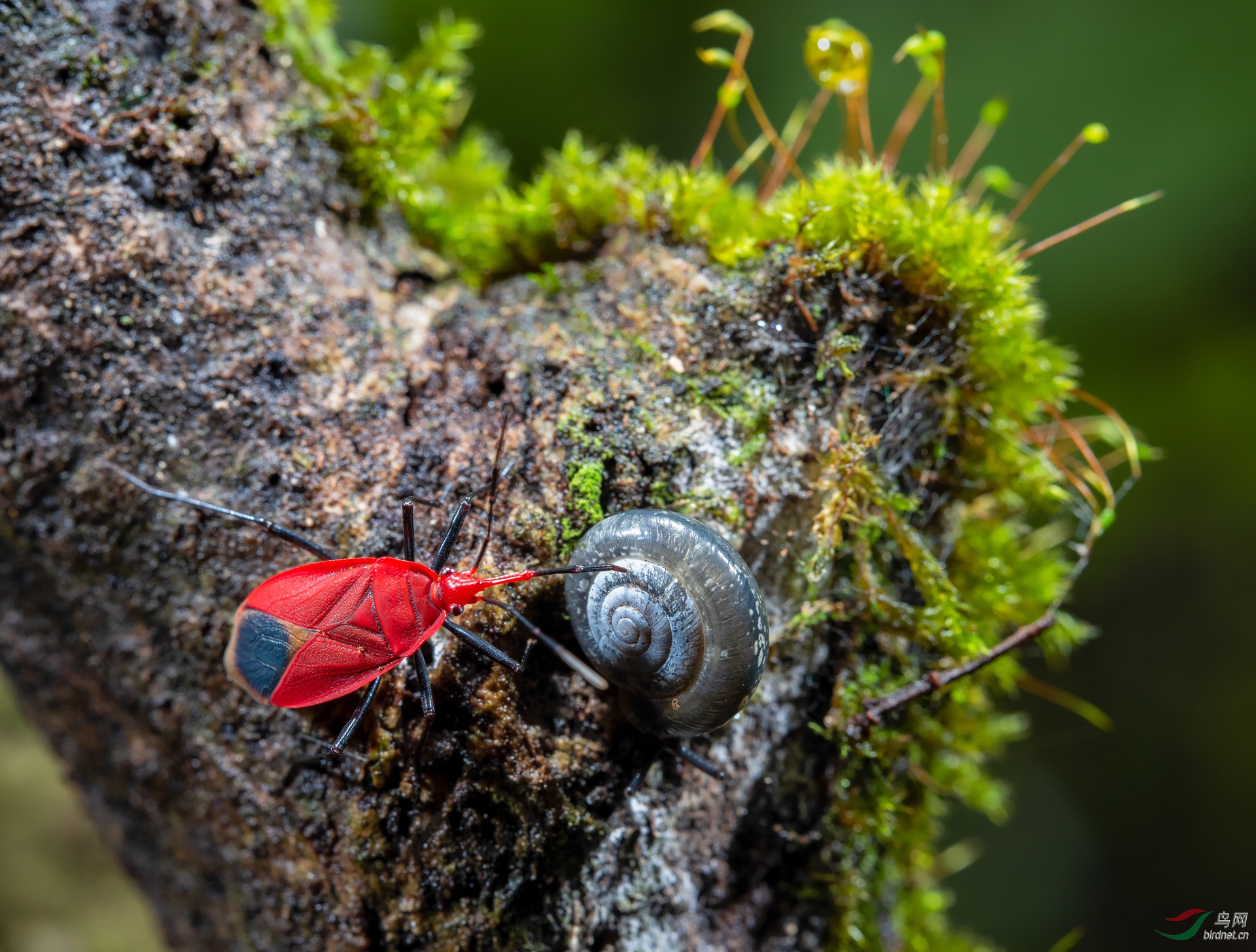 0259. 10928_����ǿʳ_���������������ѿ��Ұ������.jpg