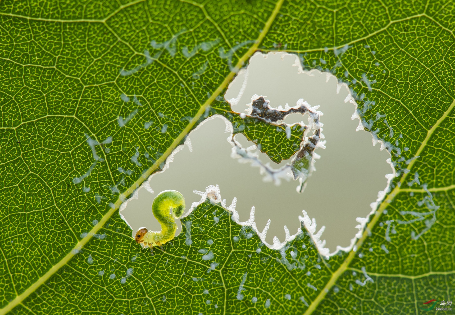 0282. 10954_�����ʱ�⡷_Ұ������.jpg