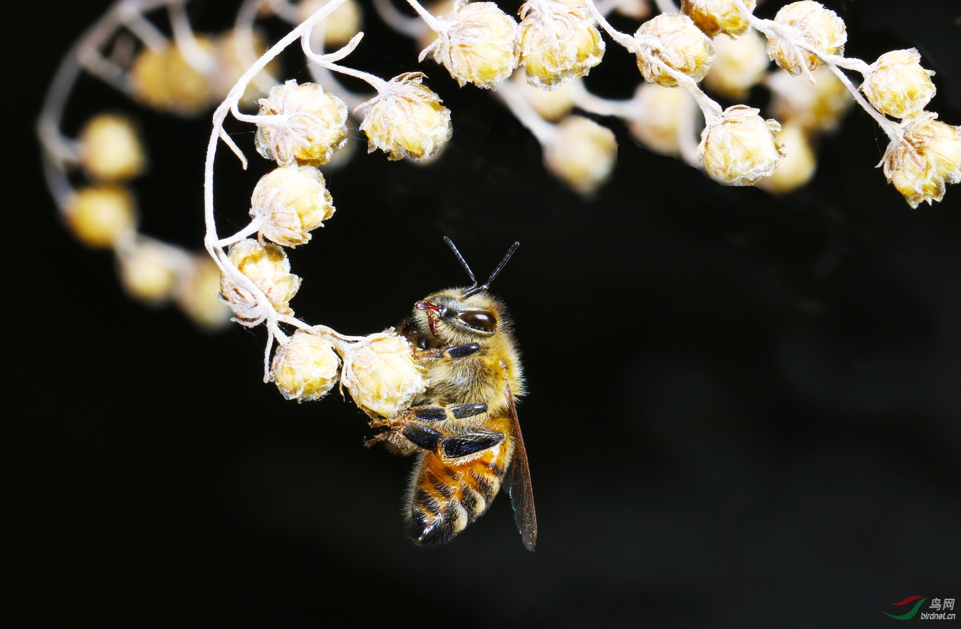 0430.�����ζ  �۷�- ����Ƽ.jpg