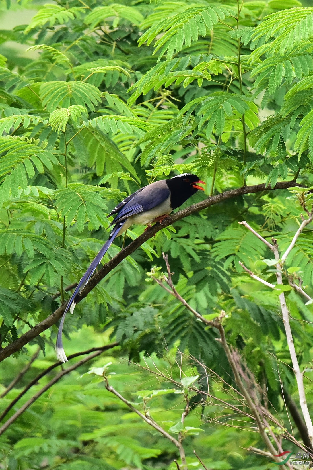 DSC_0807.JPG