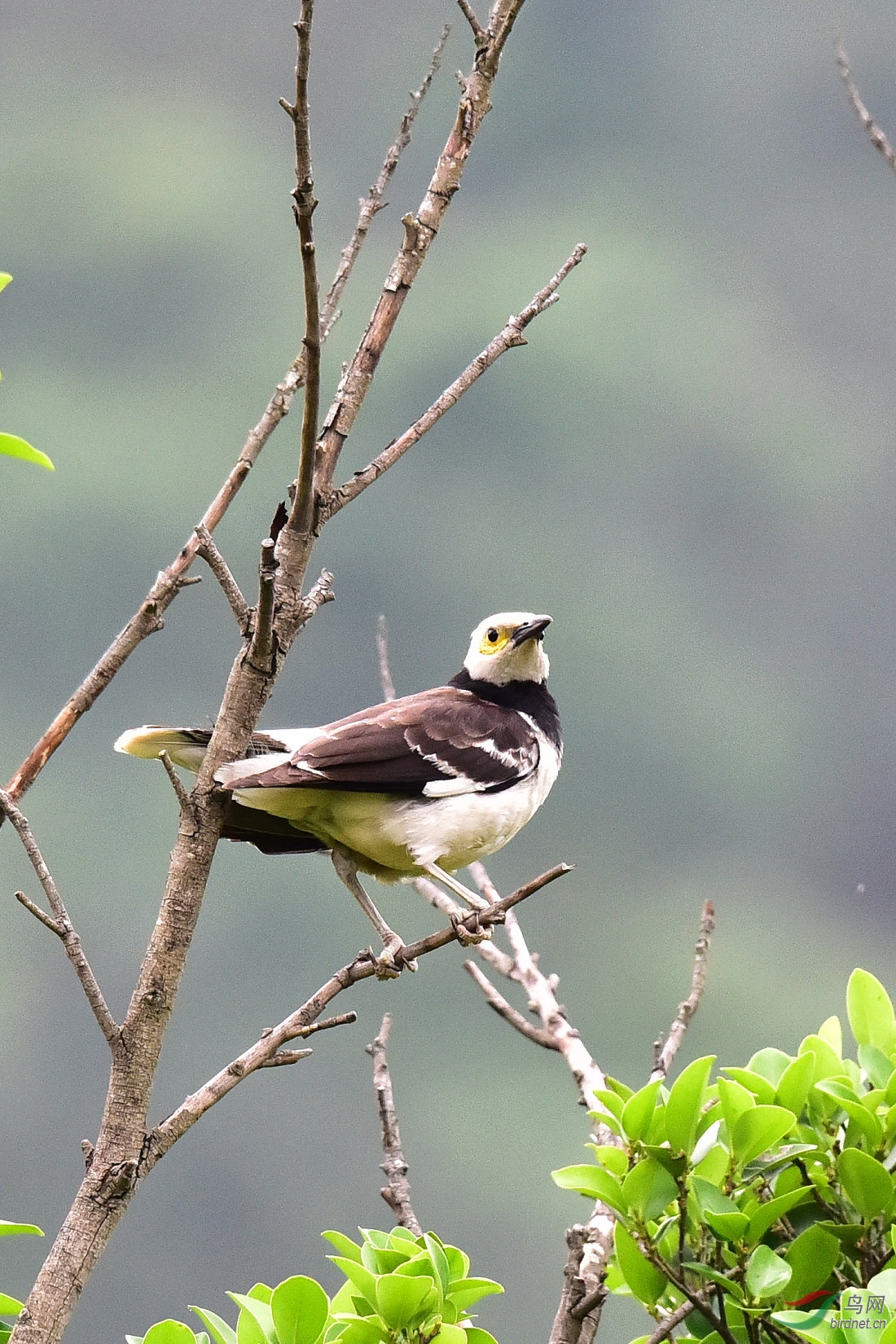 DSC_0387.JPG