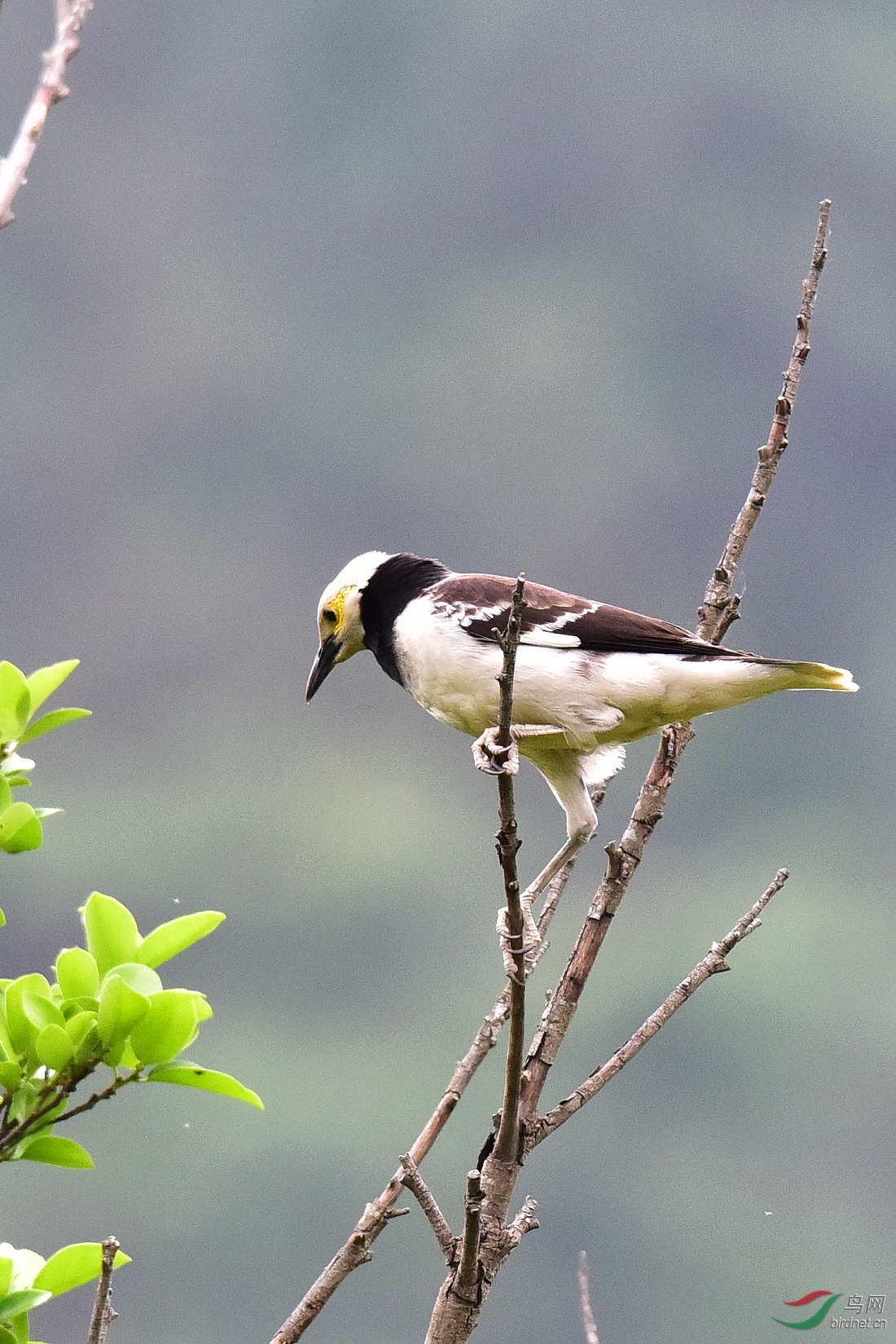 DSC_0388.JPG
