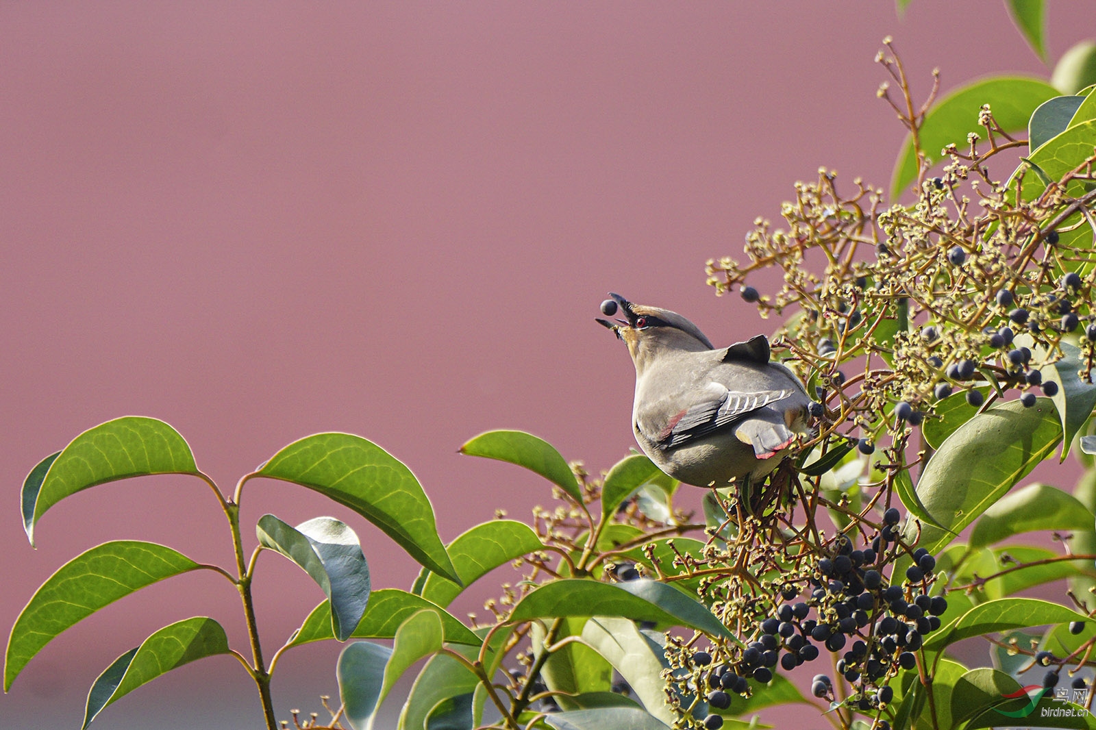 DSC06462-0.jpg