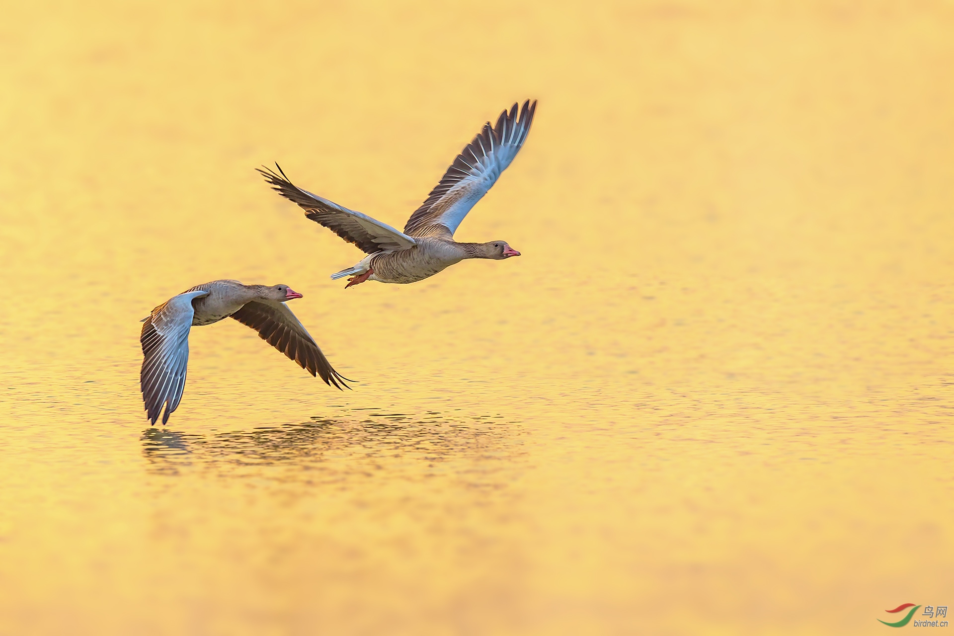 ͭ��-0436.һ�� ���ض�  ˫��.jpg