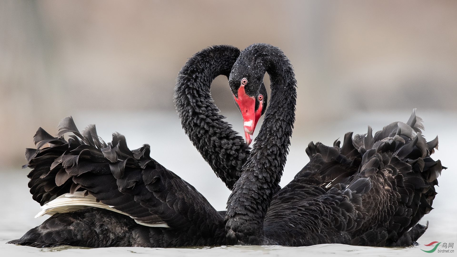 ͭ-0357.�������ض�-���ѷɹ�-����� ����.jpg