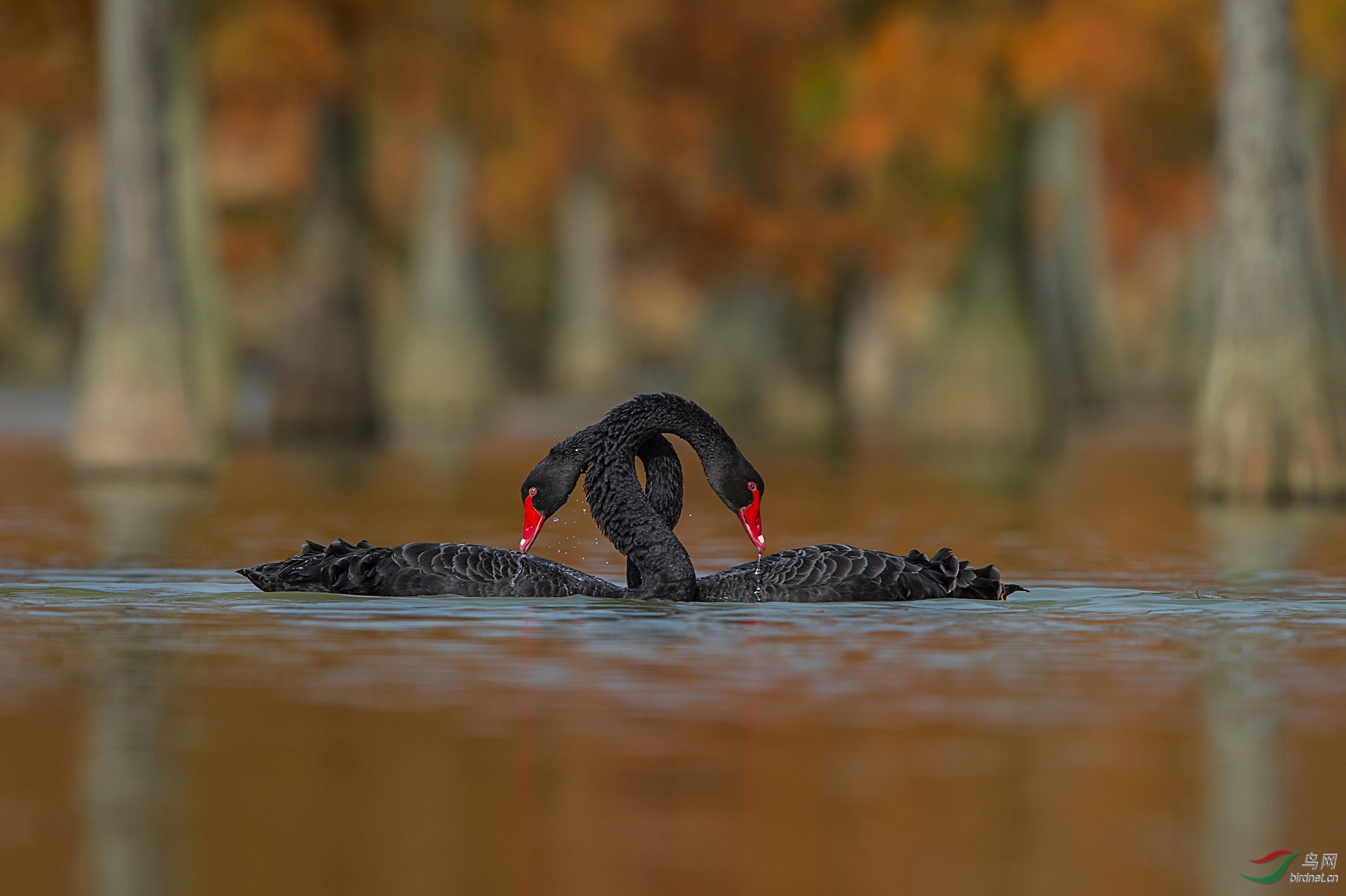 0501.��������� ��־ƽ������2019-11-21   �绰��18651905599-��Ͷ.jpg