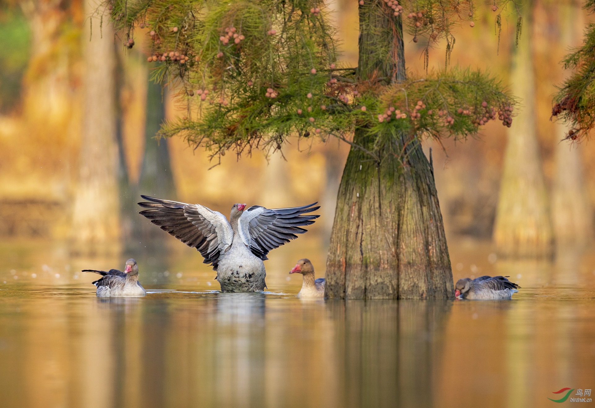 0097.����һ�� �绰��18651863230���-��Ͷ.jpg