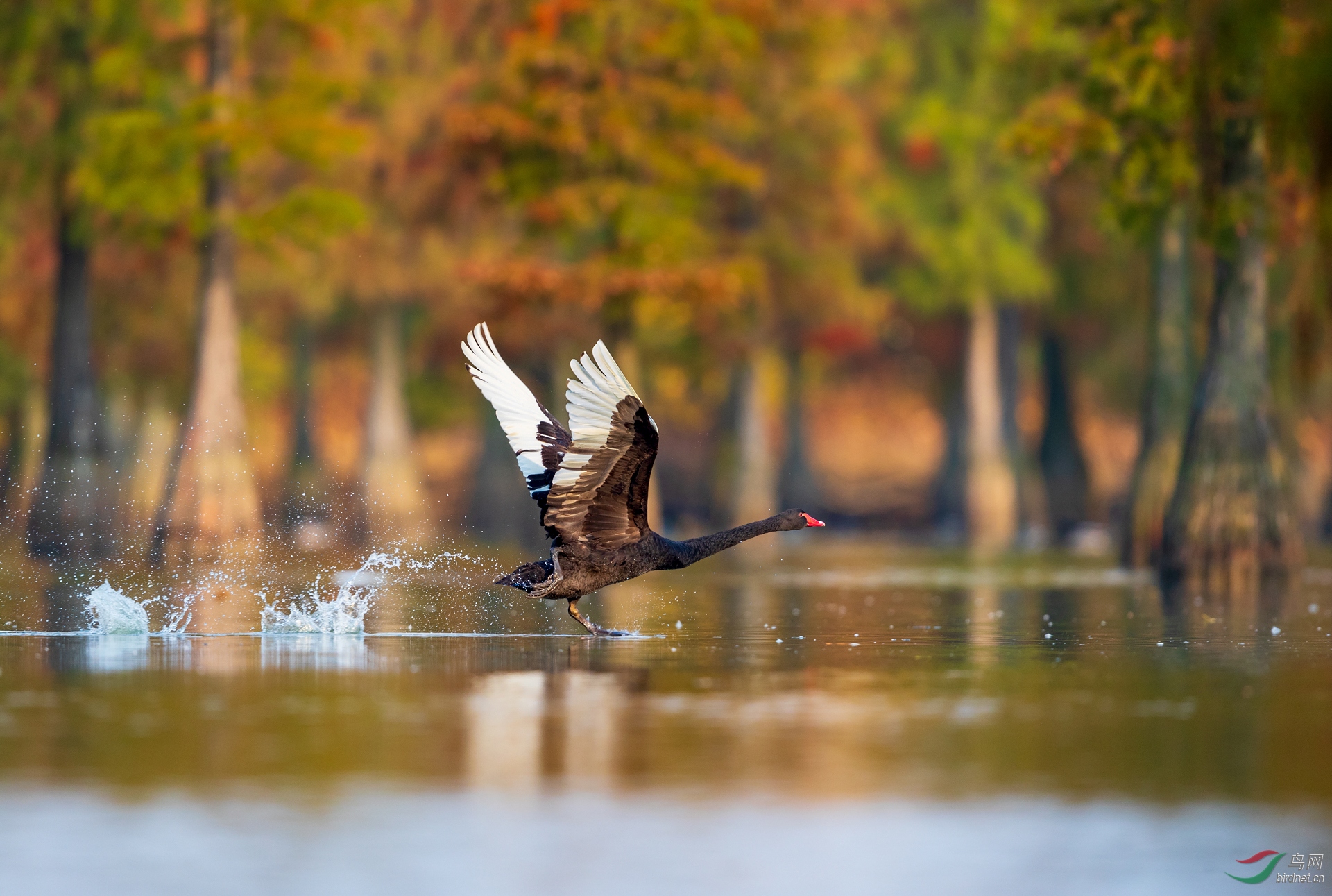 0098.����һ�� �绰��18651863230����-��Ͷ.jpg