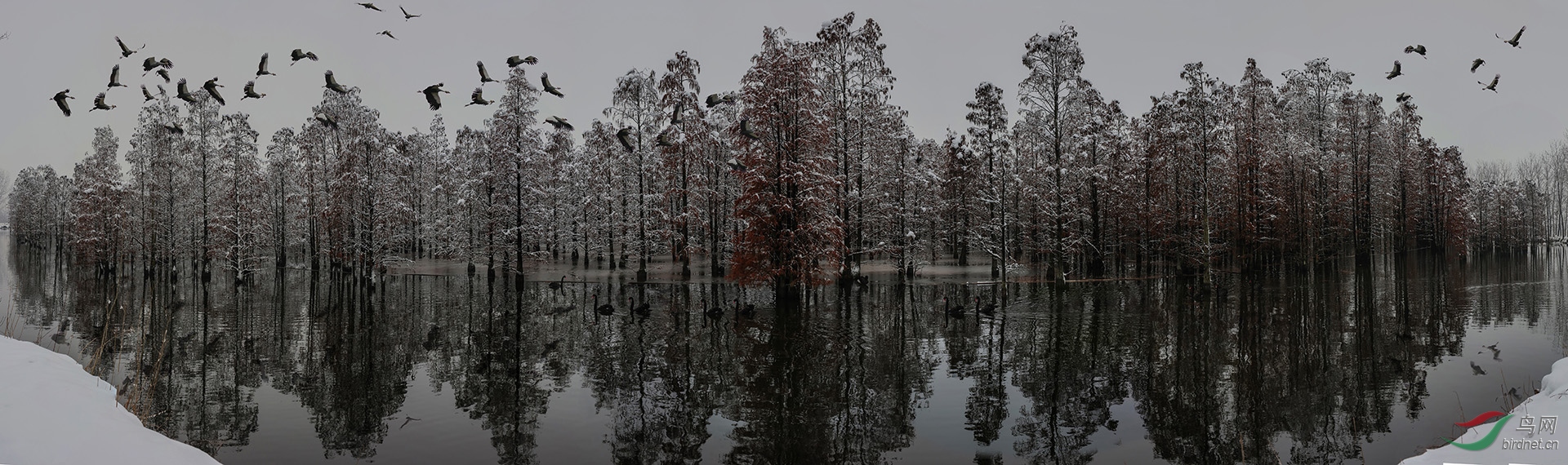 0262.��ɼ�ֳ�ѩ �ƽ 18001408298-��Ͷ.jpg