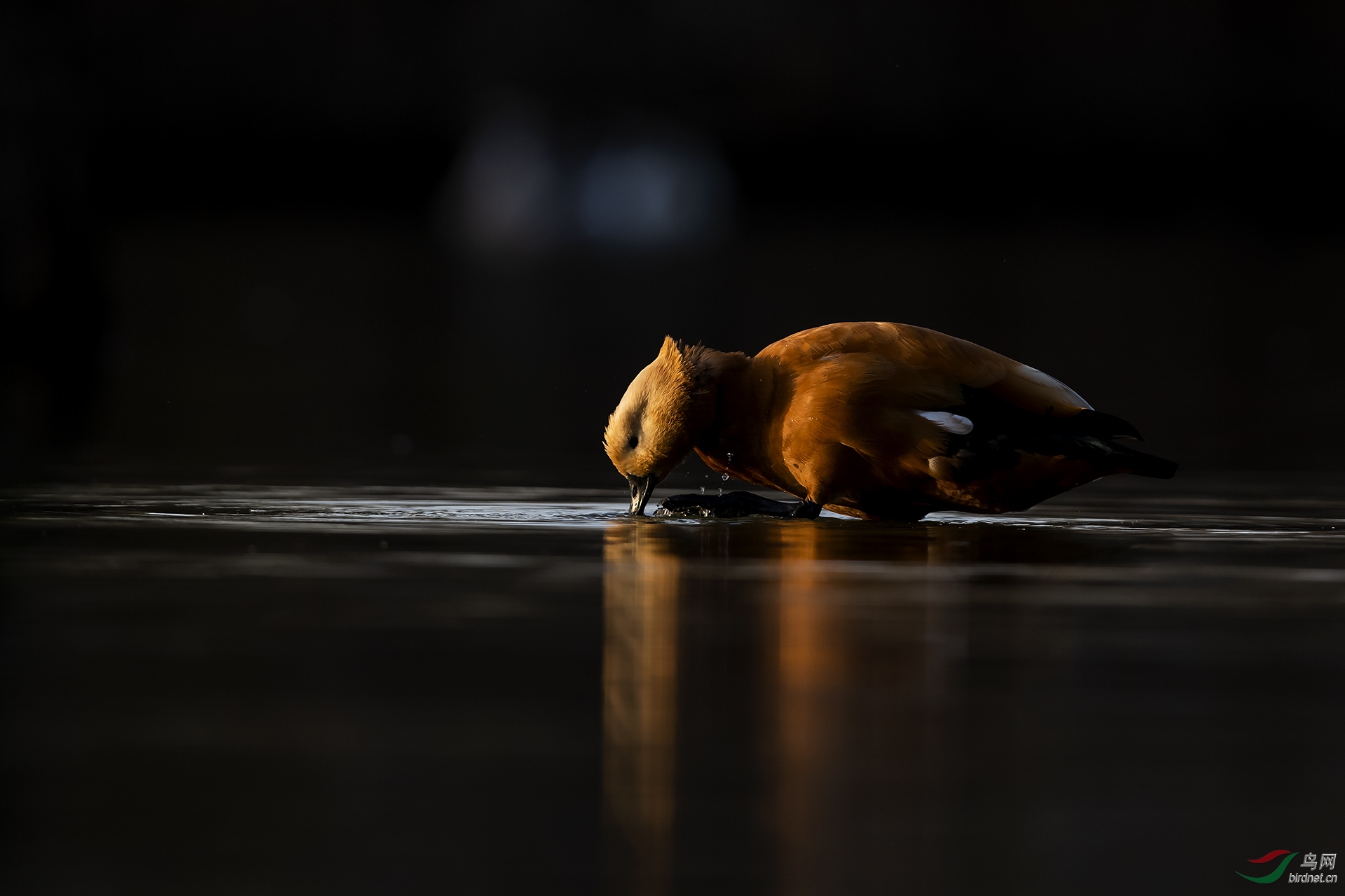 0441.һ�� ���ض� ��.jpg