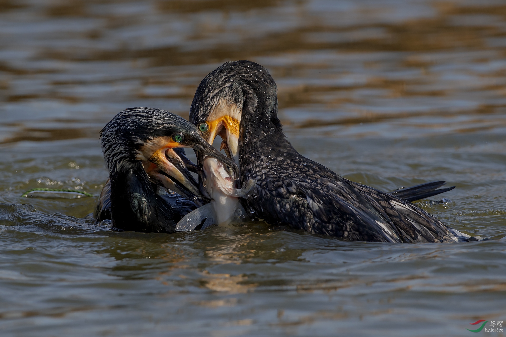 0258.һ�� ���ضӹ�Ӯ.jpg