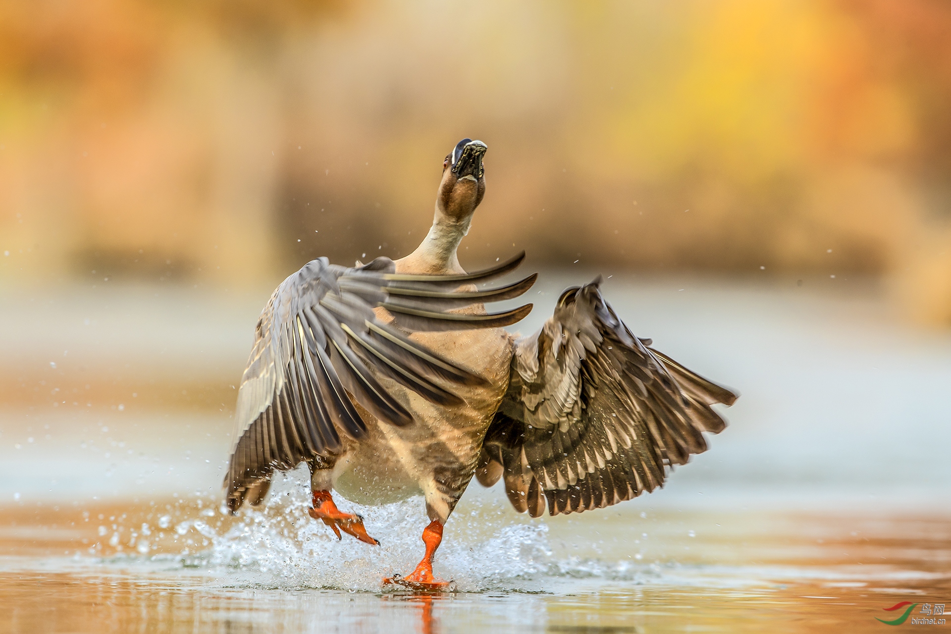 0254.΢���� �� ������ �������Ĵ���.jpg