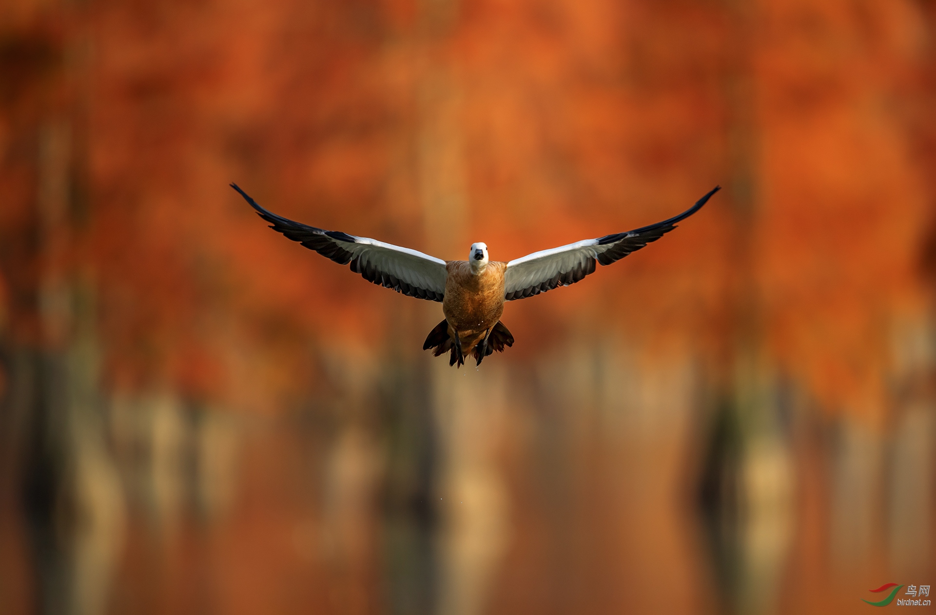 0023._DSC4699�����- ���ɽ��  ������ͨ��˶� ӭ�����.jpg