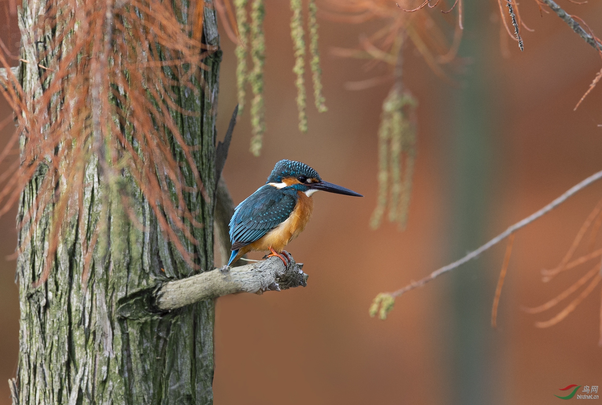 0106.������   ��Ӱ����-������ͨ��˶�-��ɼ���ҵļ�.jpg