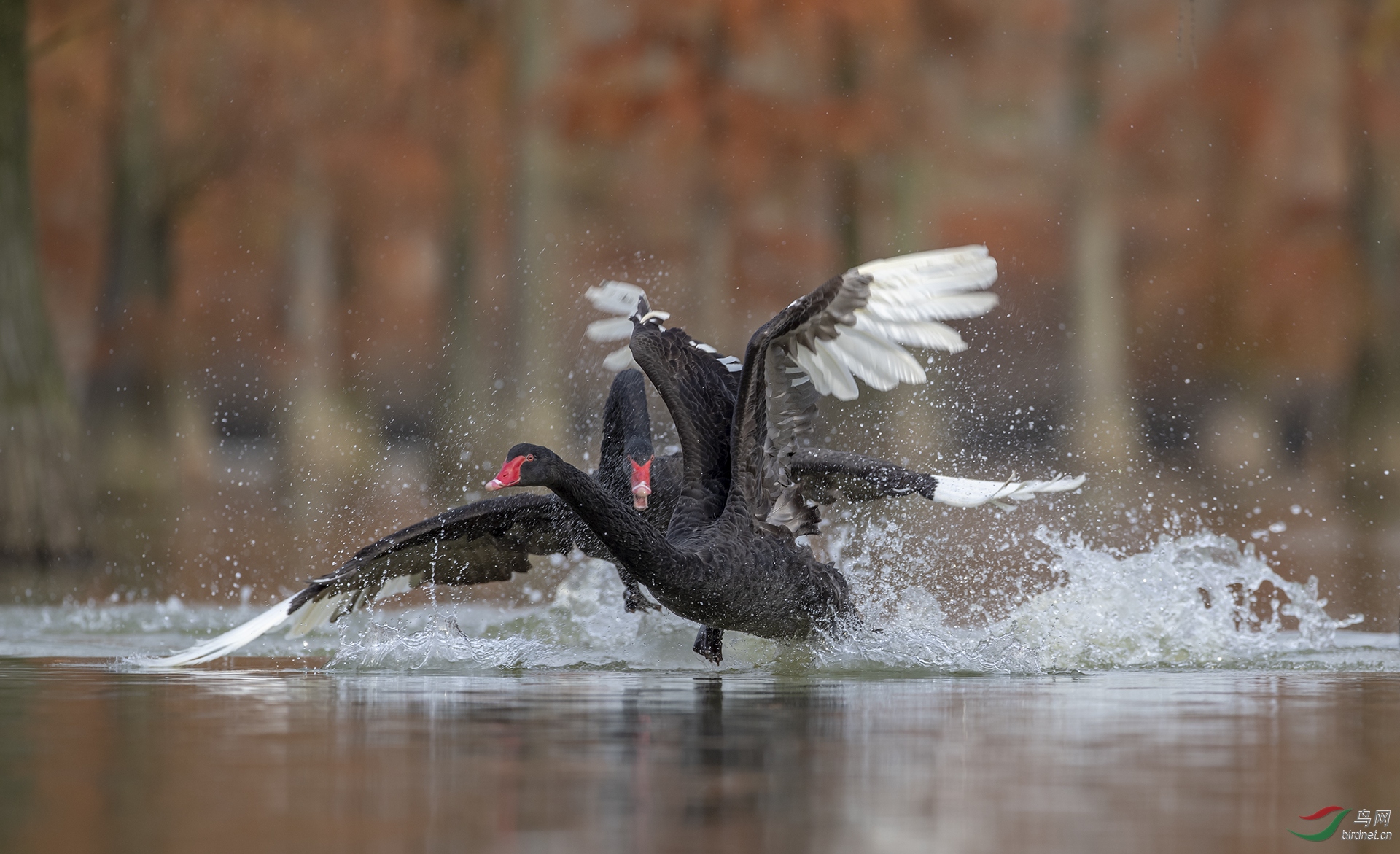 0149.���� Ū������ ��.jpg