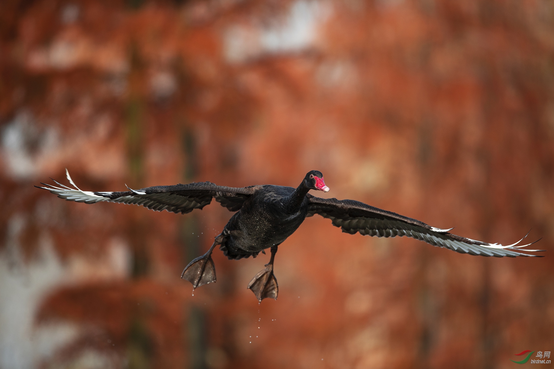 0197.������ѻȸ�� չ�� 1.jpg