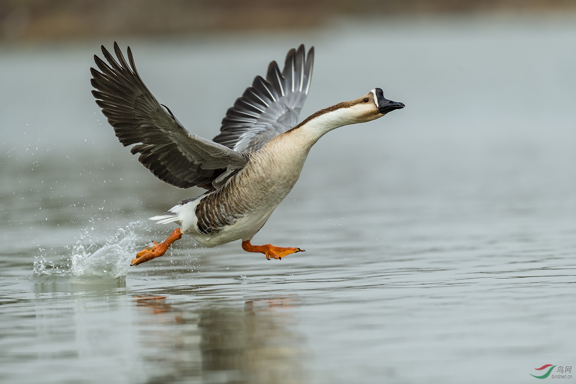 0208.�Ϸ�ţ �۰�̨�������ض�  ����.jpg