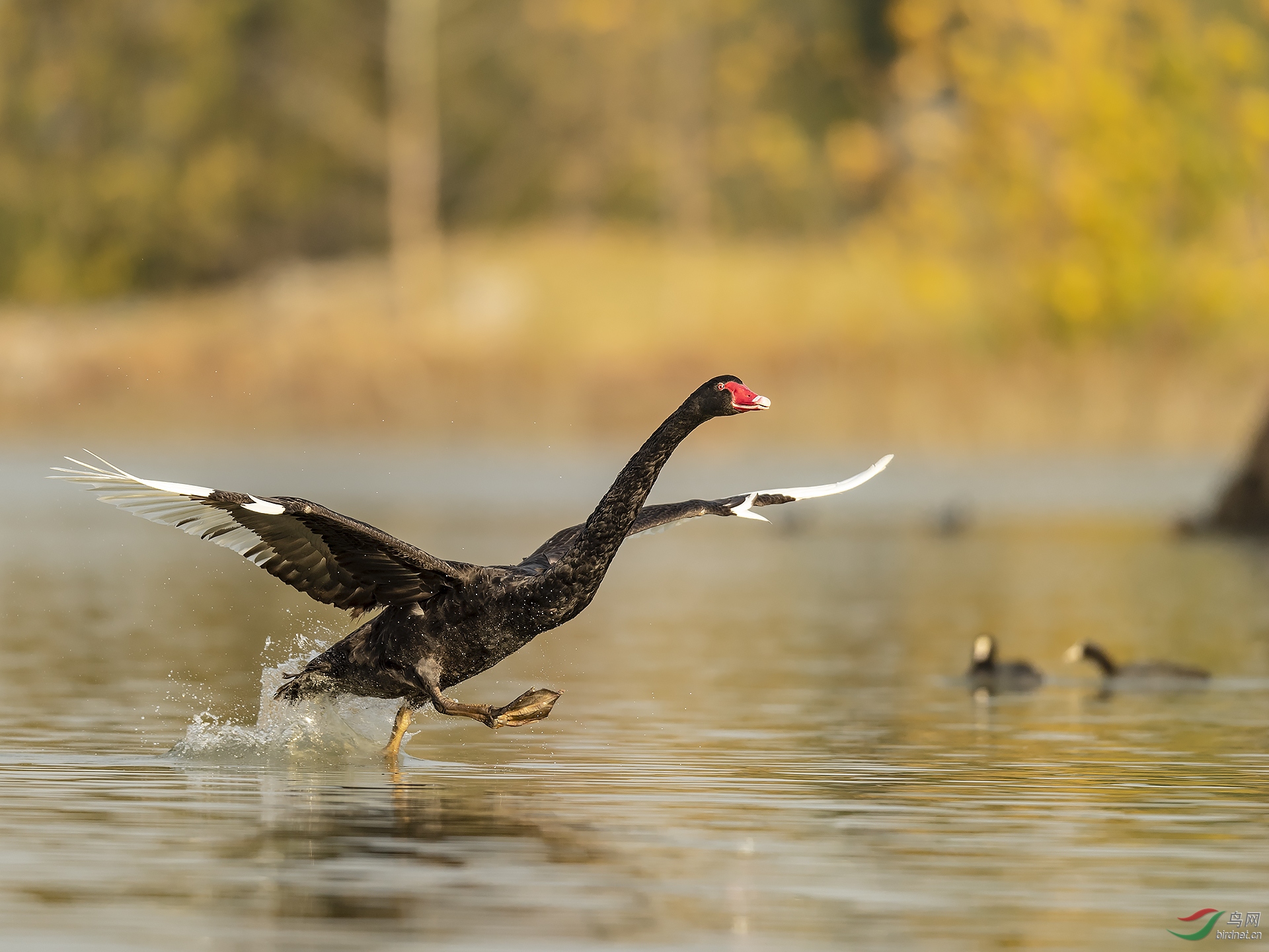 0210.�Ϸ�ţ �۰�̨�������ض��貨΢��.jpg