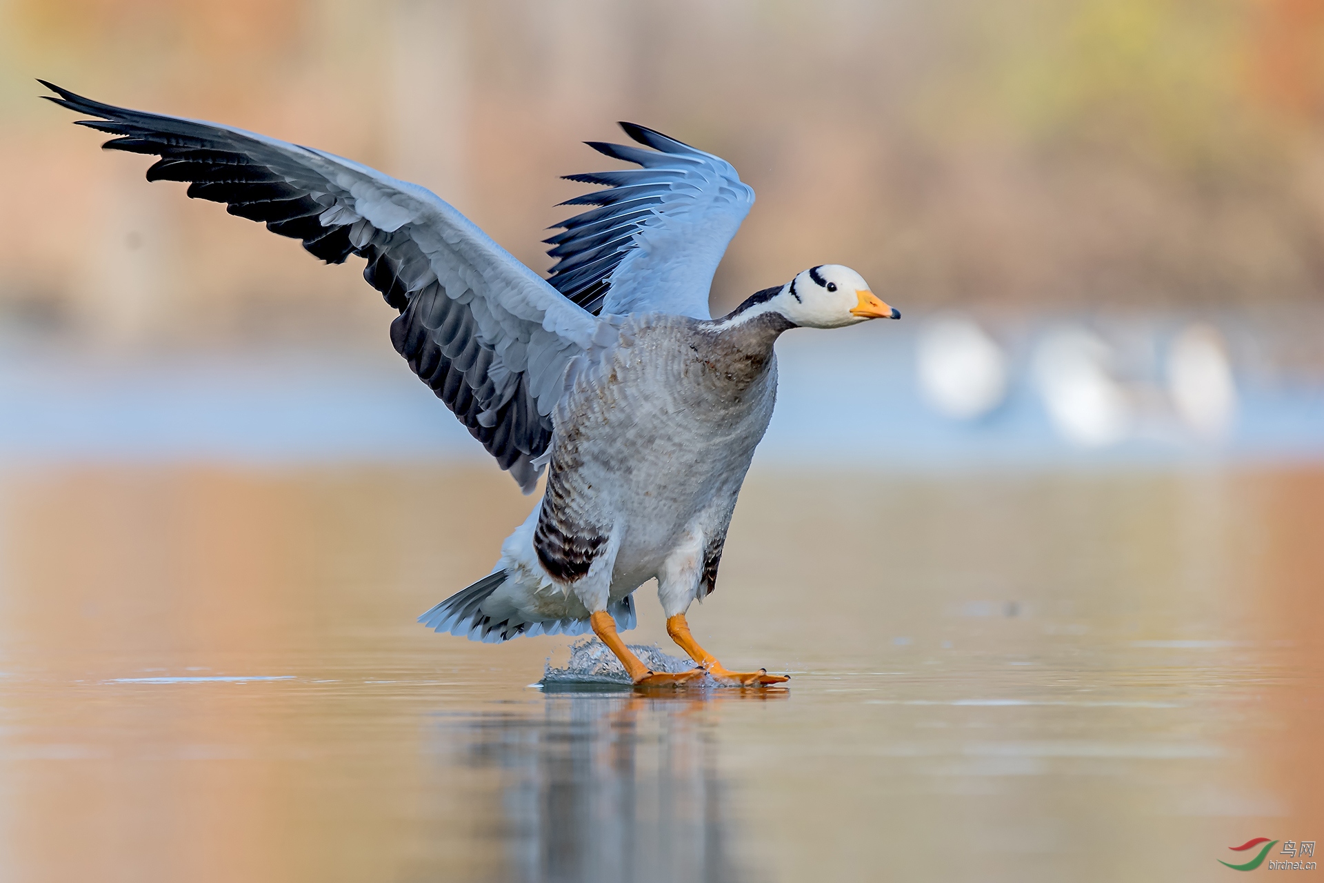 0226.�ϻ�����  ��ѻȸ�� ���⣺�������.jpg