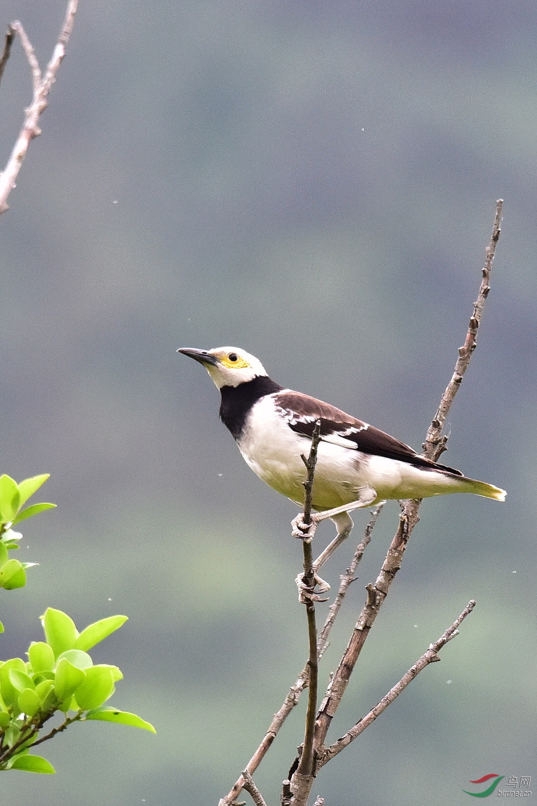 DSC_0389.JPG