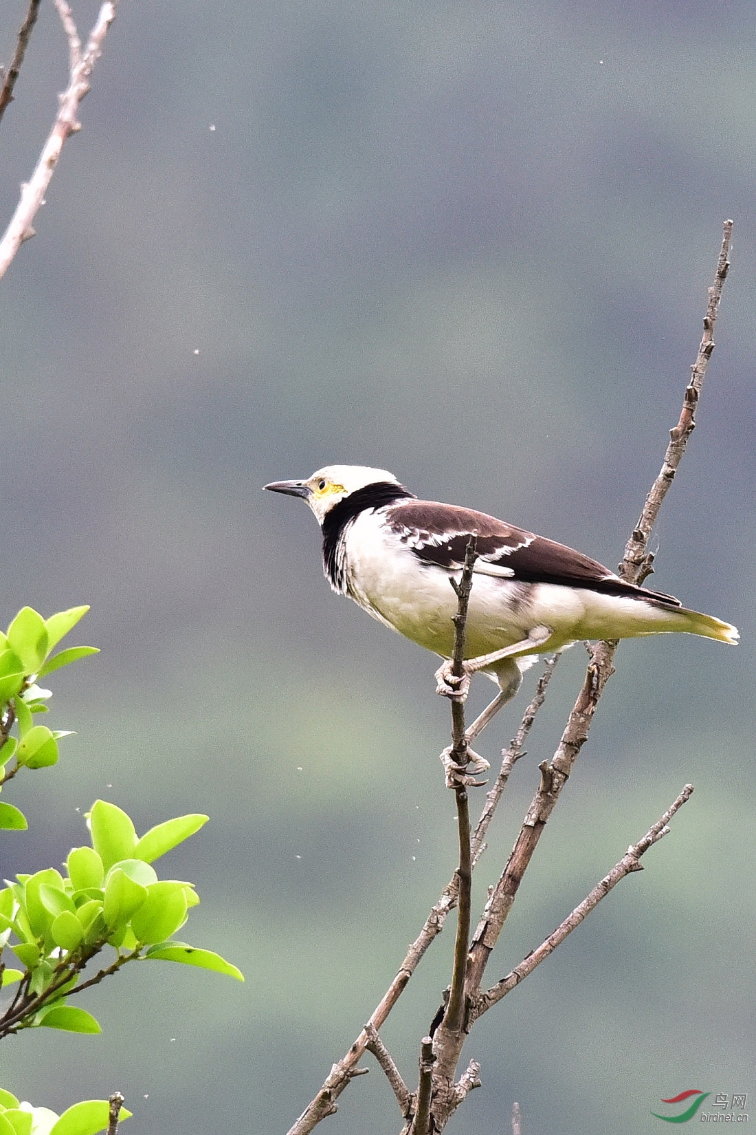 DSC_0390.JPG