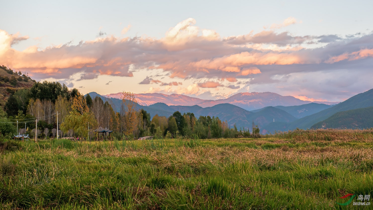 _DSC3626_1.jpg