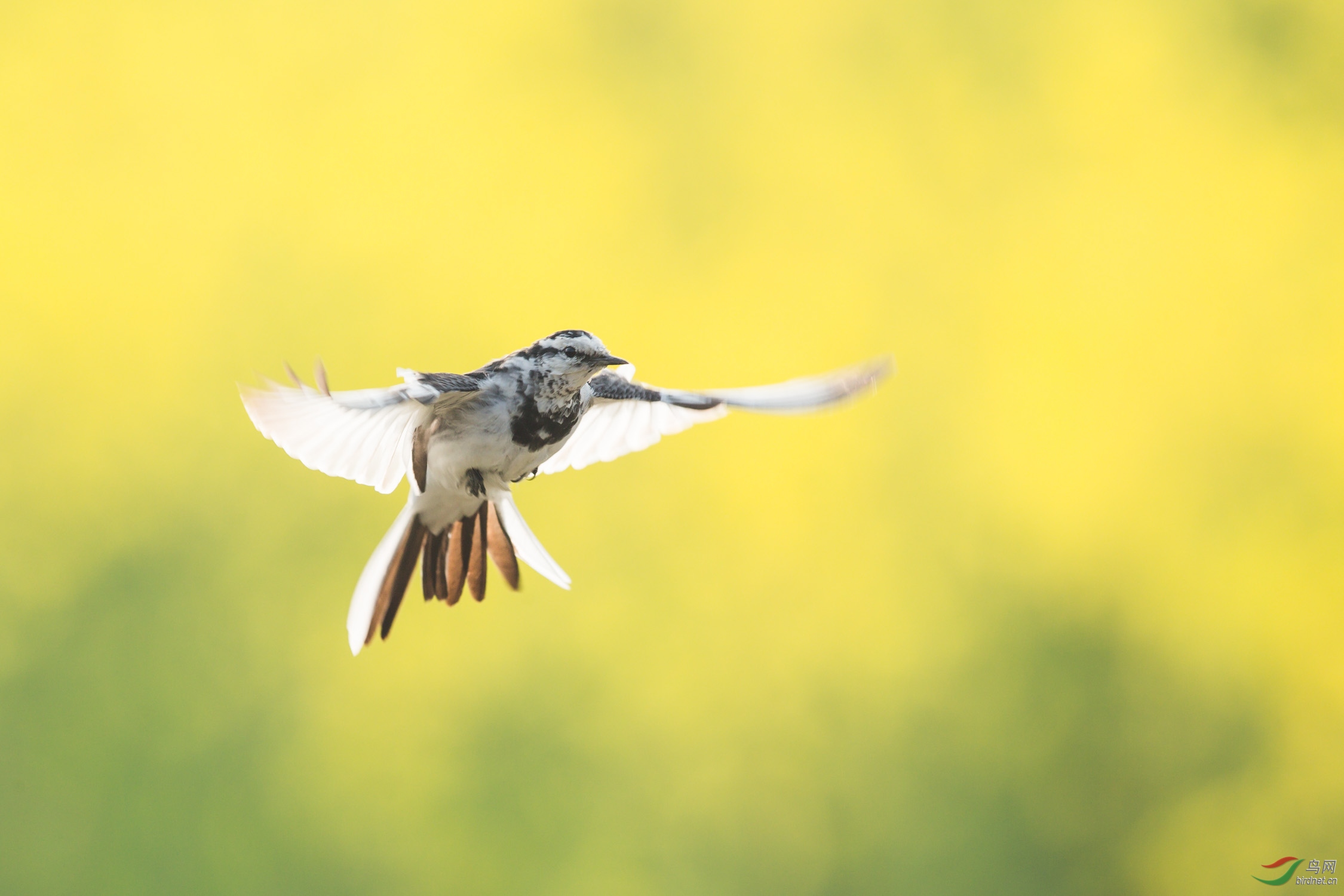���n�_-6394-3.jpg