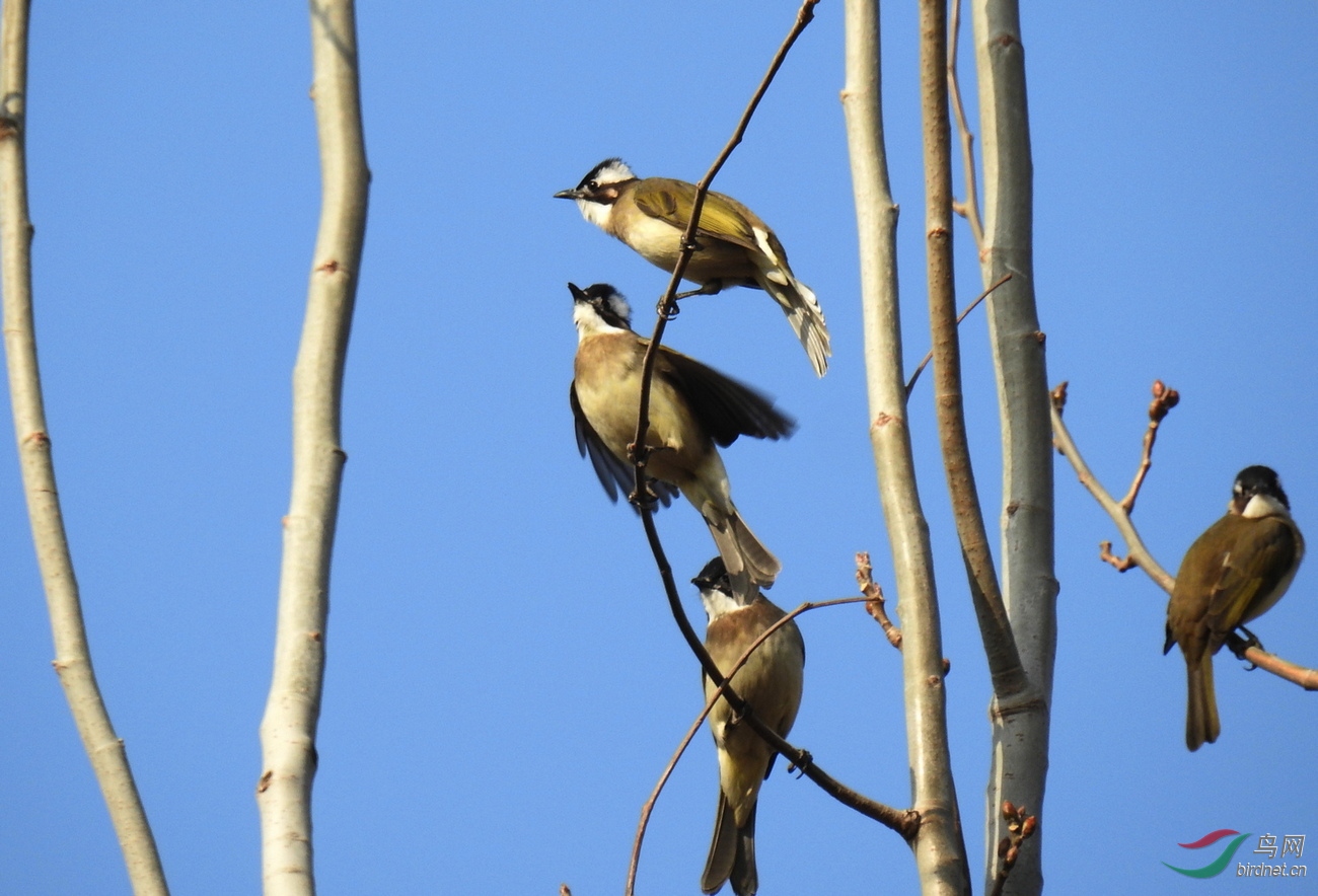 DSCN9509.JPG
