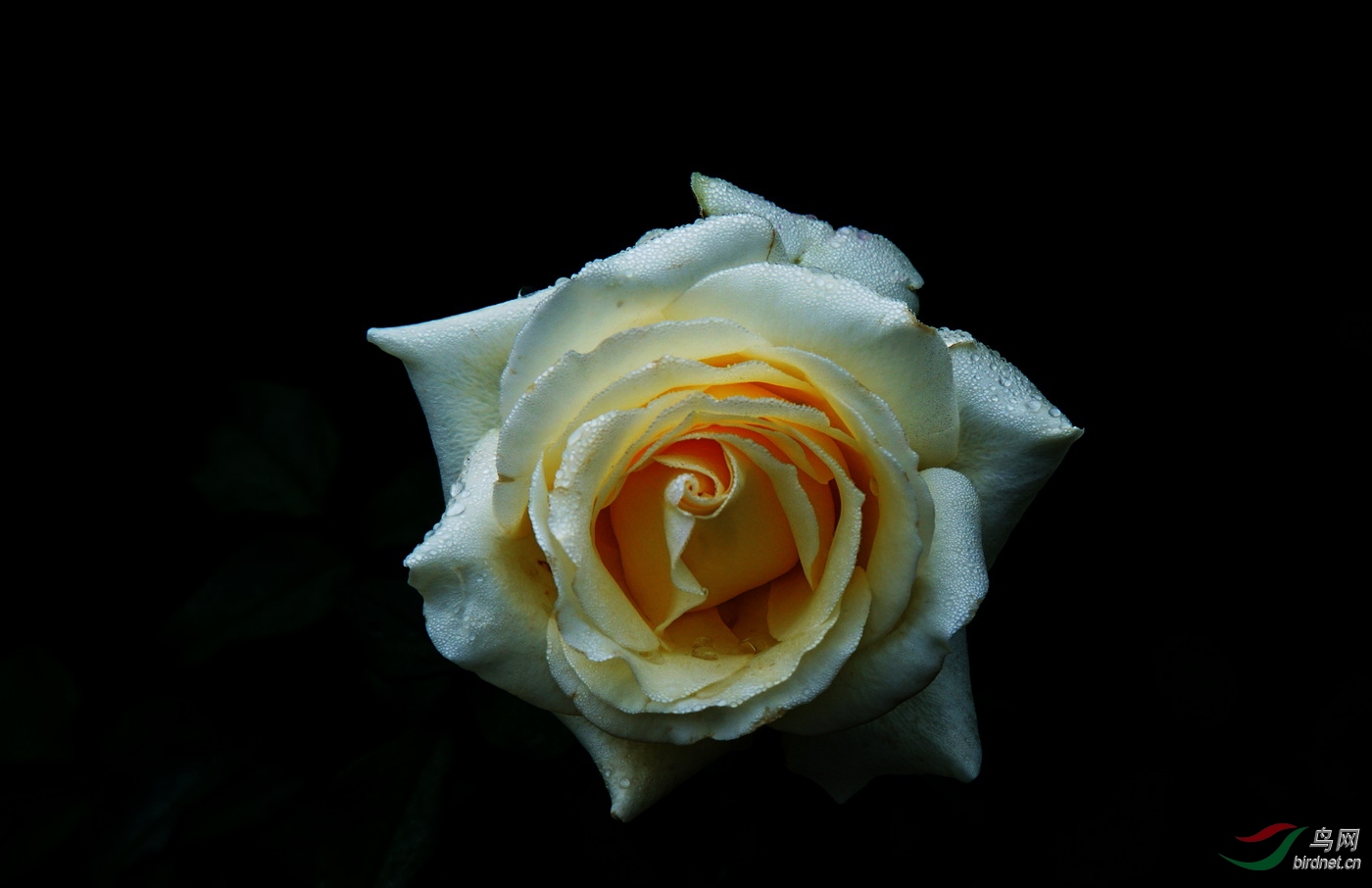 DSC09632.JPG