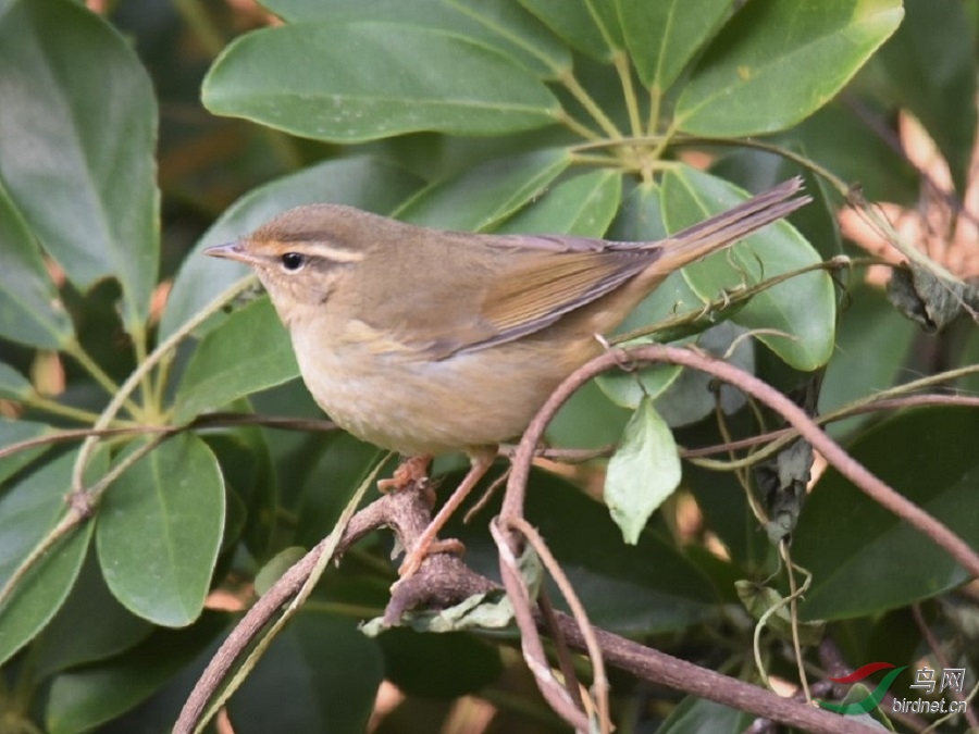 DSC_8728.JPG