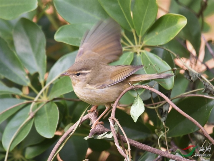 DSC_8730.JPG