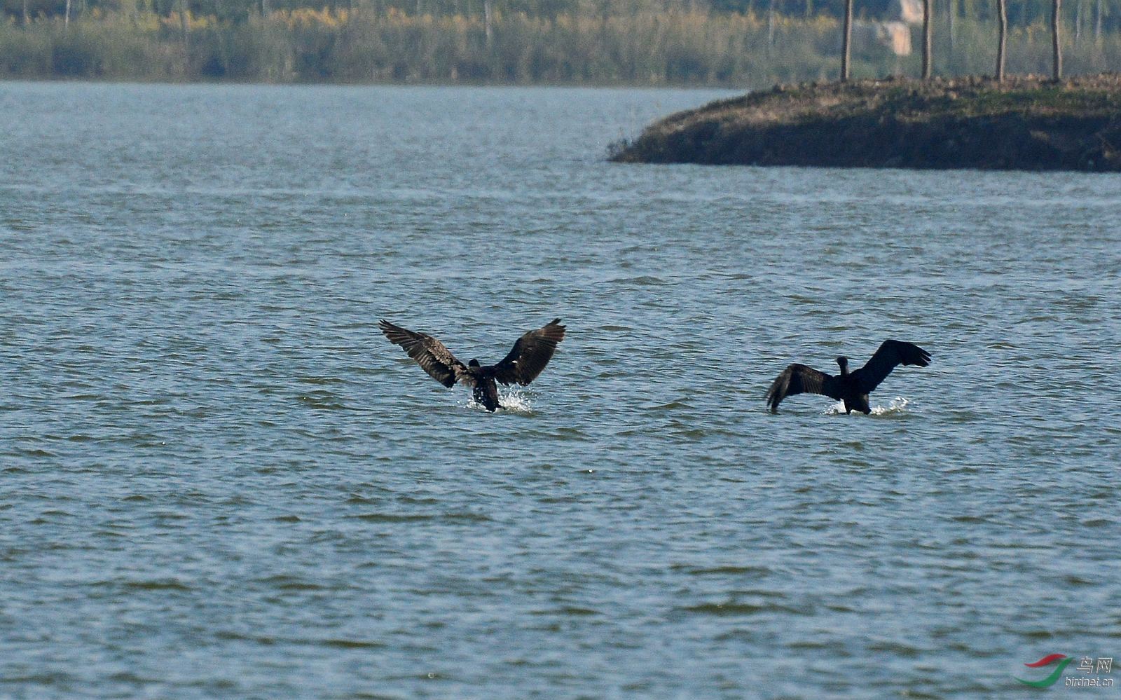 DSC_3377.JPG