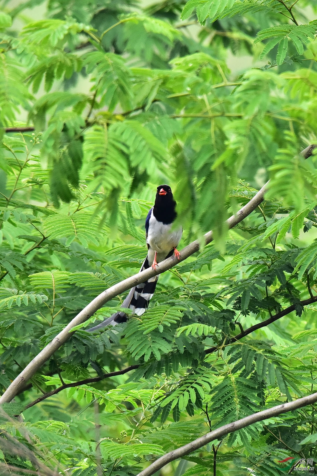 DSC_0812.JPG