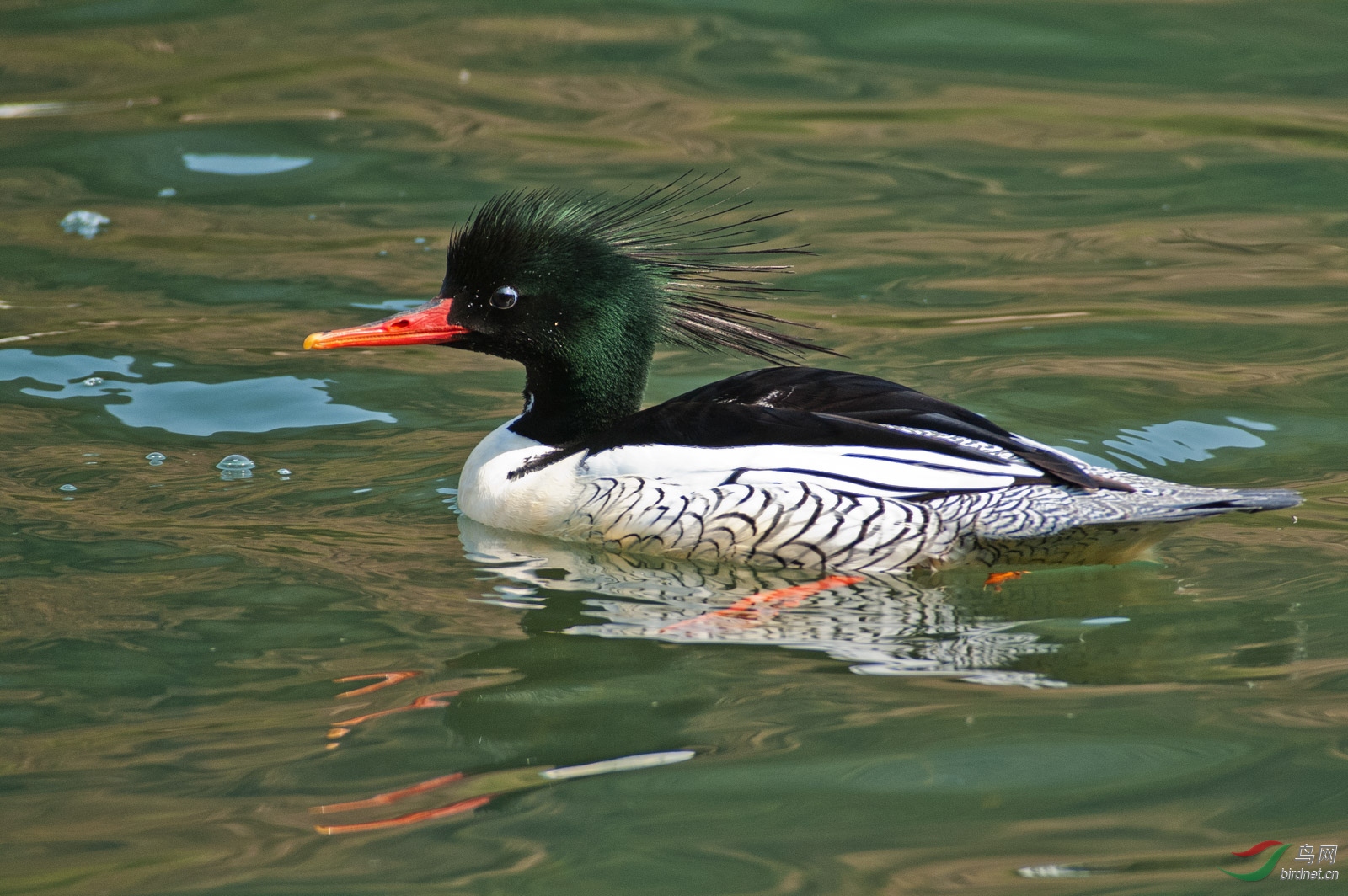 PICT7926-2.jpg