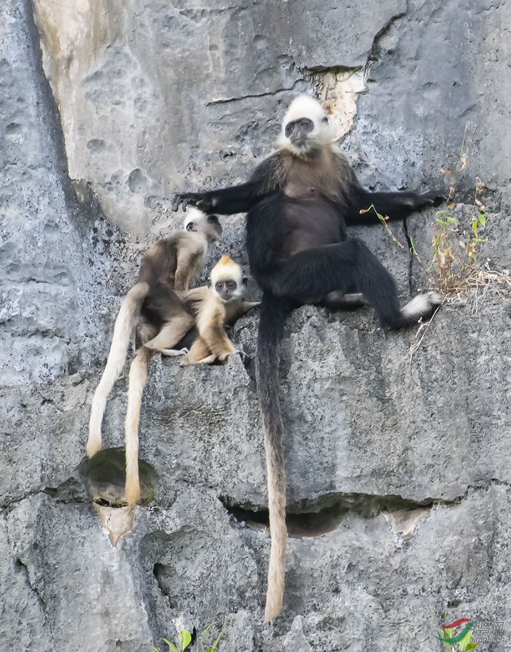DSC_9862.jpg
