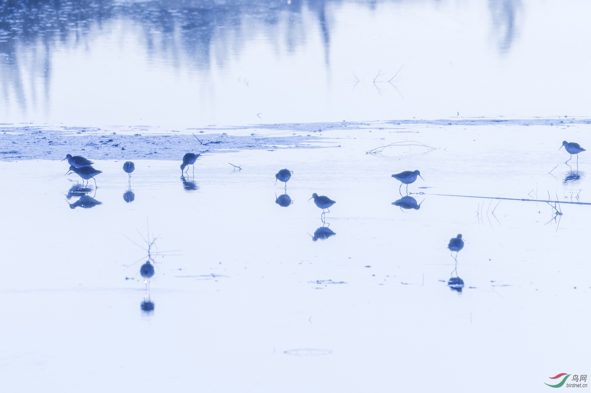 3S5A2838  Ծ��������.jpg