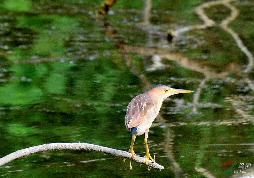 DSC_5878.JPG