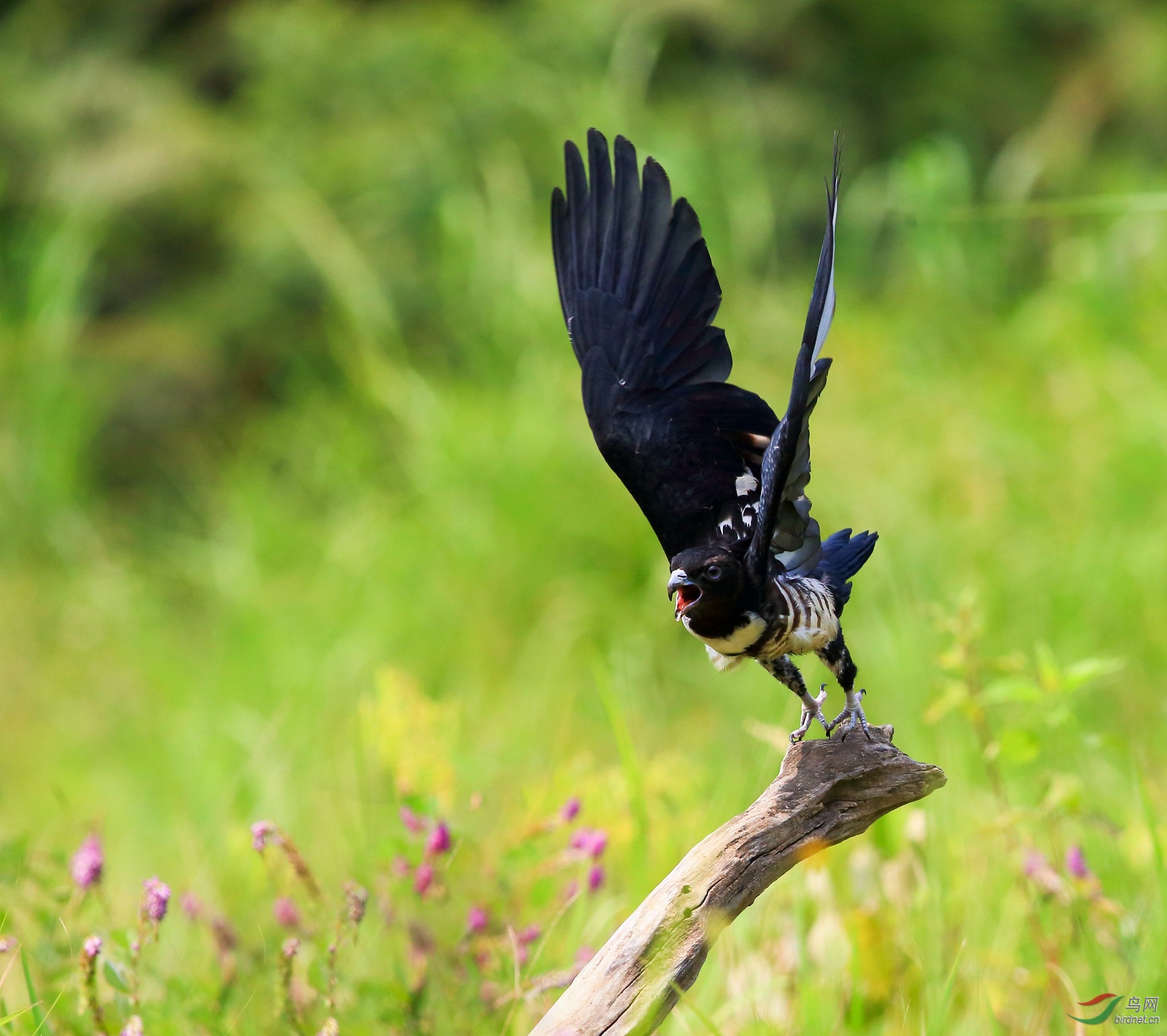 2019-08-23 10-16-03 (3).JPG